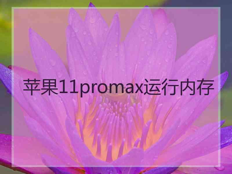 苹果11promax运行内存