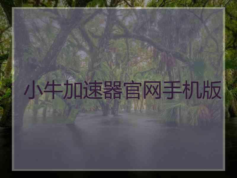 小牛加速器官网手机版
