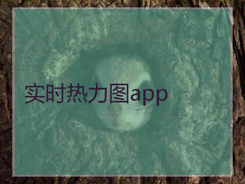 实时热力图app