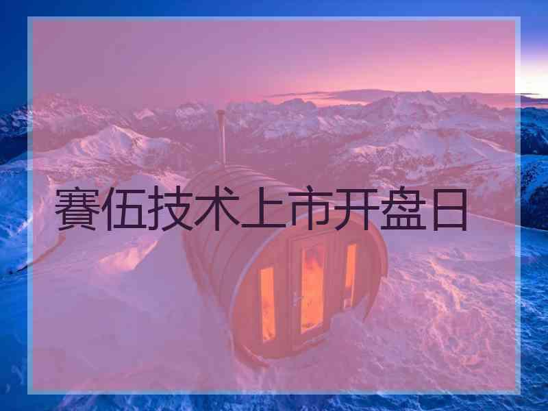 賽伍技术上市开盘日