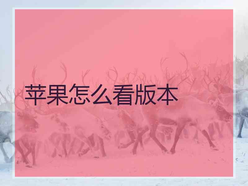 苹果怎么看版本