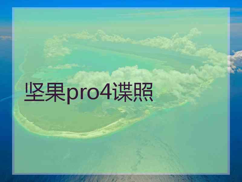 坚果pro4谍照