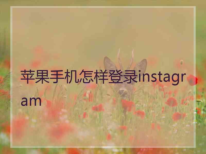 苹果手机怎样登录instagram