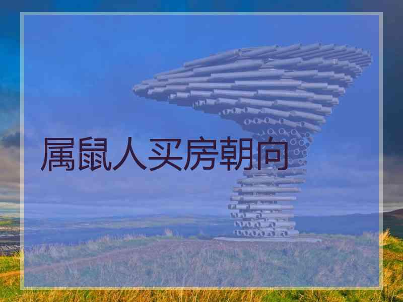 属鼠人买房朝向