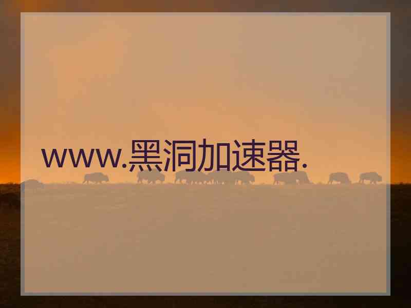 www.黑洞加速器.