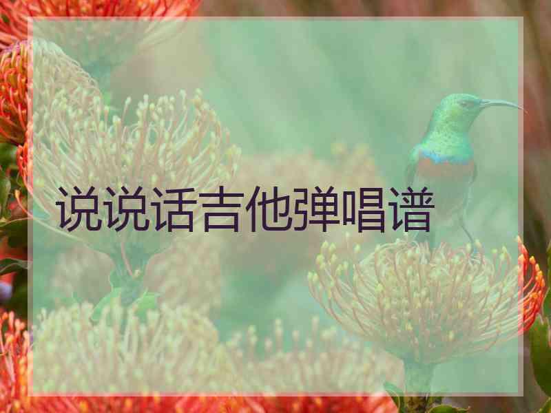 说说话吉他弹唱谱