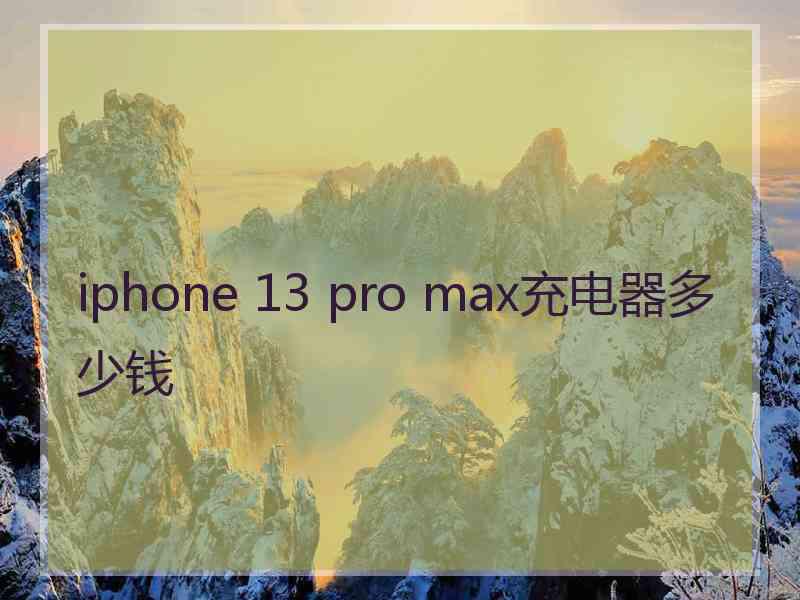 iphone 13 pro max充电器多少钱