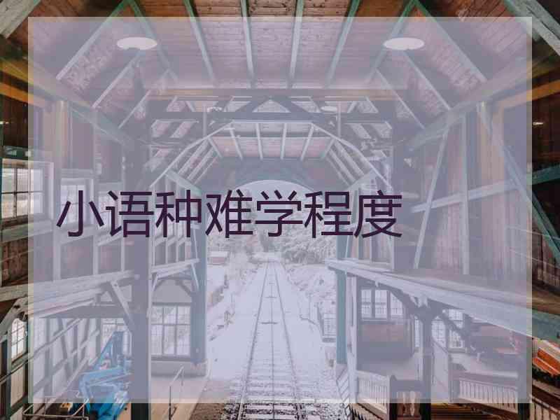 小语种难学程度