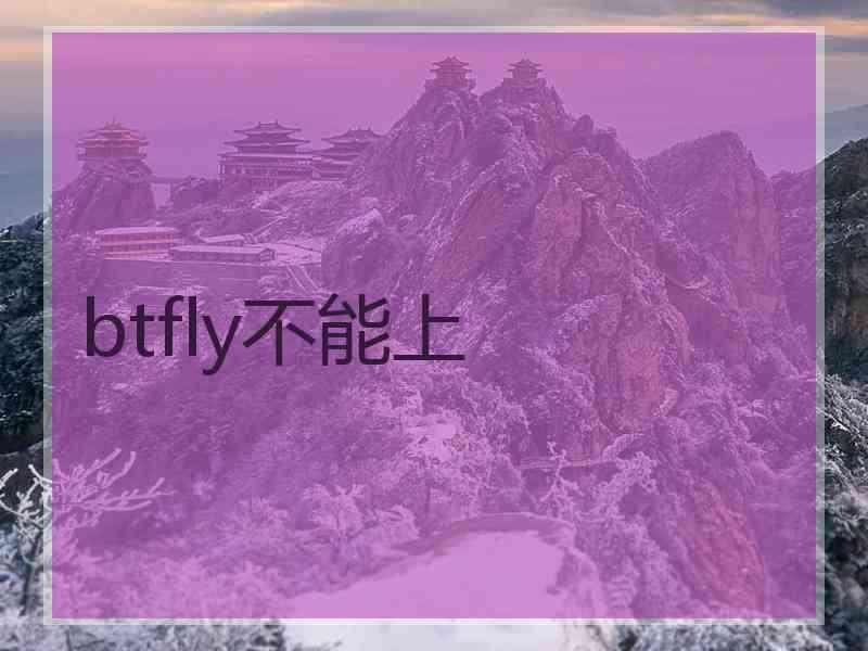 btfly不能上