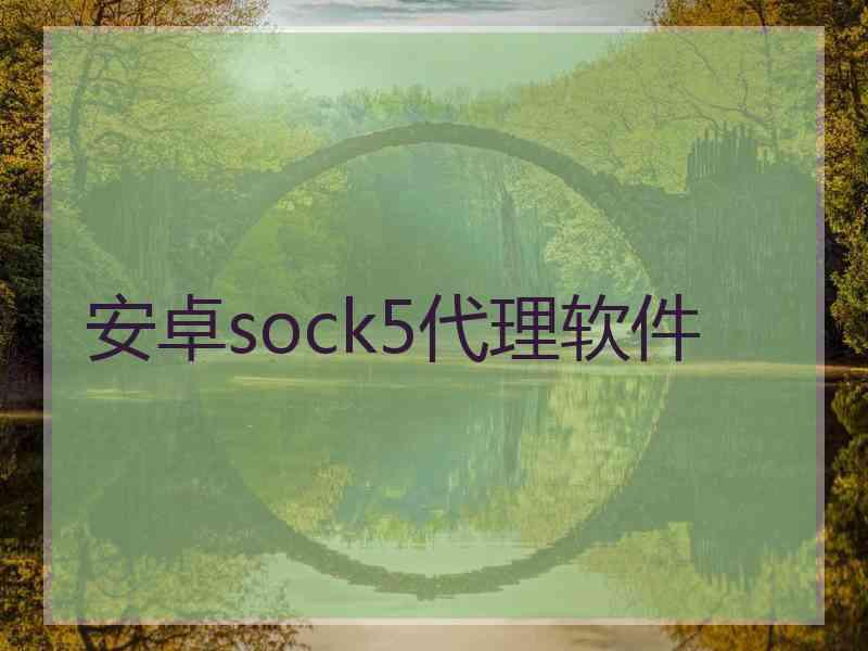 安卓sock5代理软件