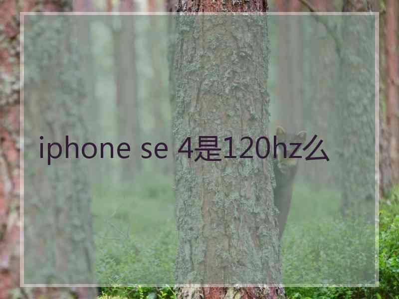 iphone se 4是120hz么