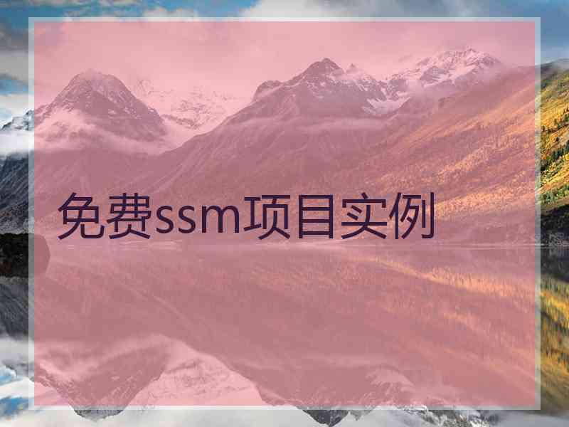 免费ssm项目实例