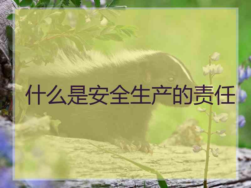 什么是安全生产的责任