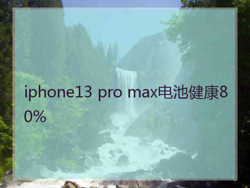 iphone13 pro max电池健康80%