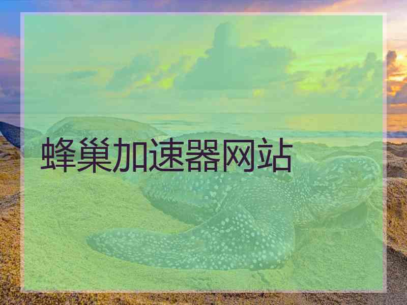 蜂巢加速器网站