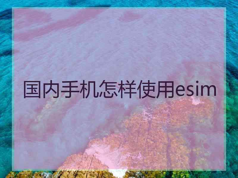 国内手机怎样使用esim
