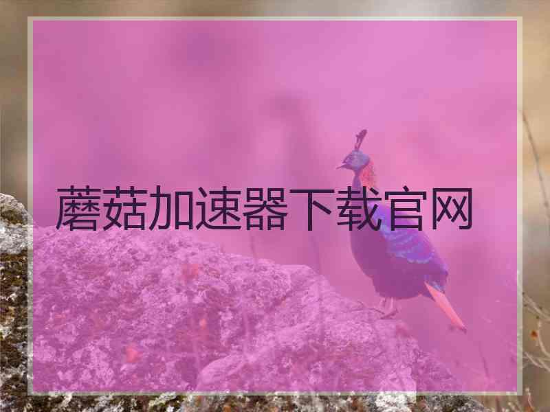 蘑菇加速器下载官网