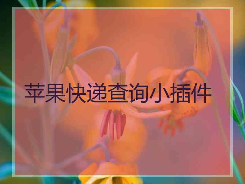 苹果快递查询小插件