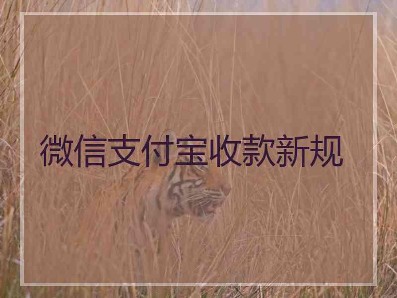 微信支付宝收款新规