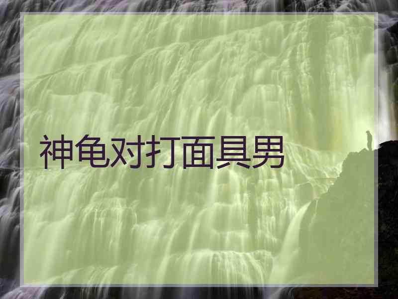 神龟对打面具男