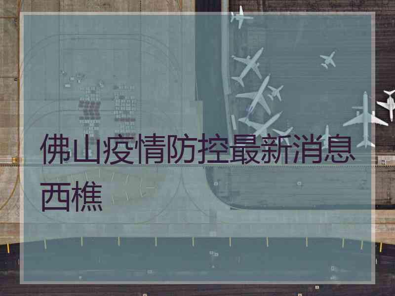 佛山疫情防控最新消息西樵