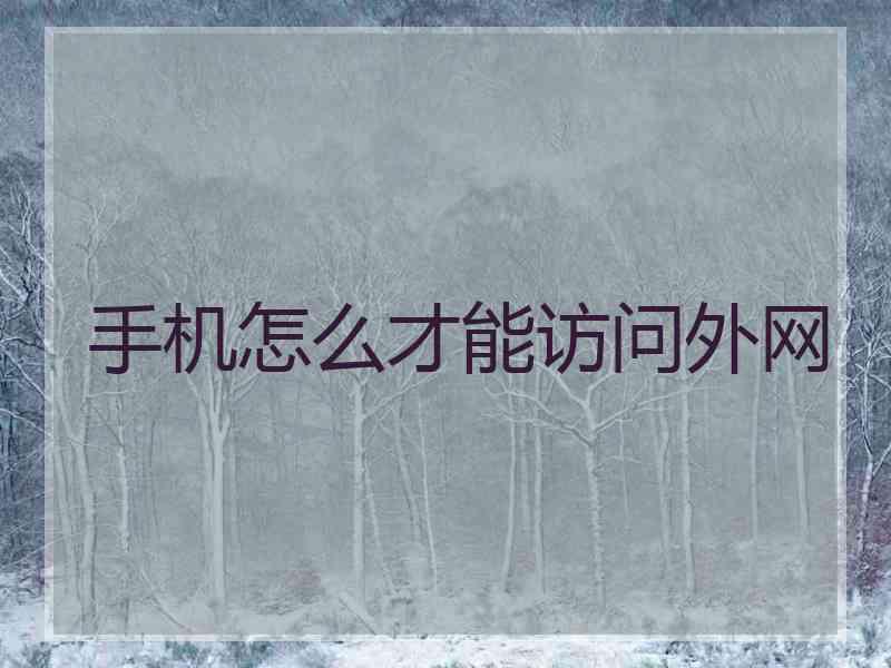 手机怎么才能访问外网