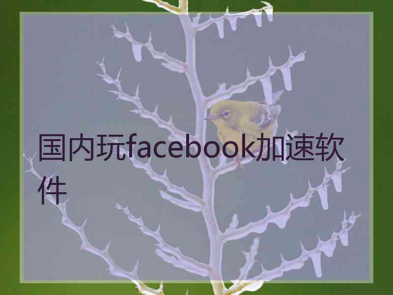 国内玩facebook加速软件