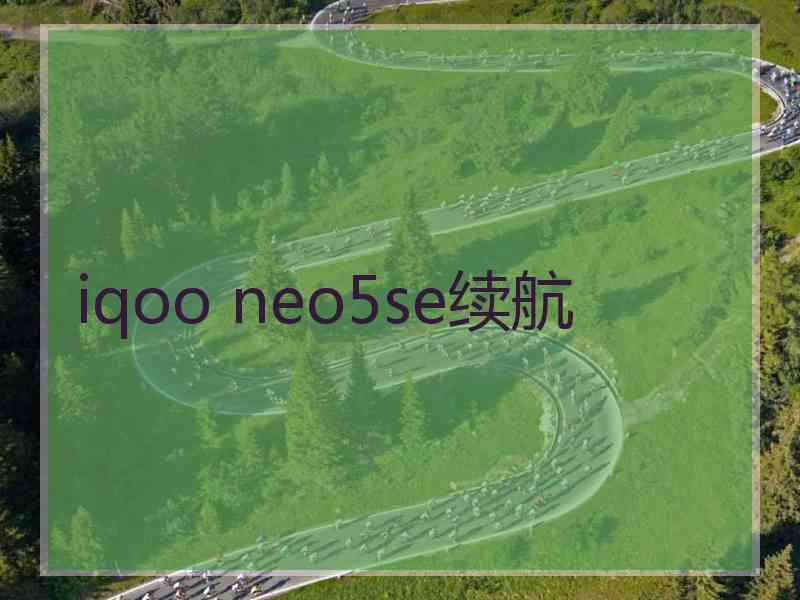 iqoo neo5se续航