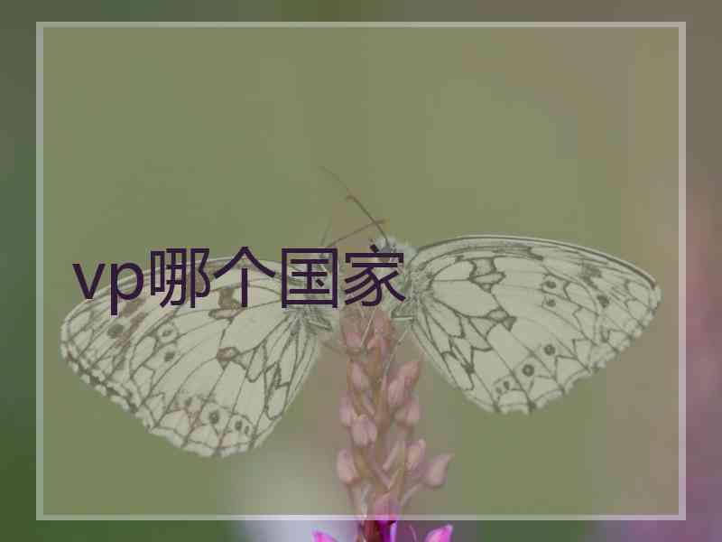 vp哪个国家