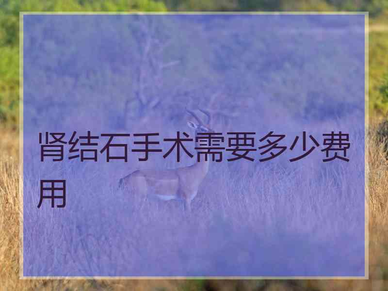 肾结石手术需要多少费用