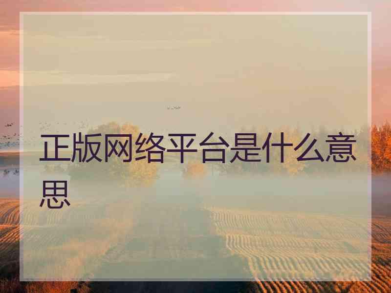 正版网络平台是什么意思