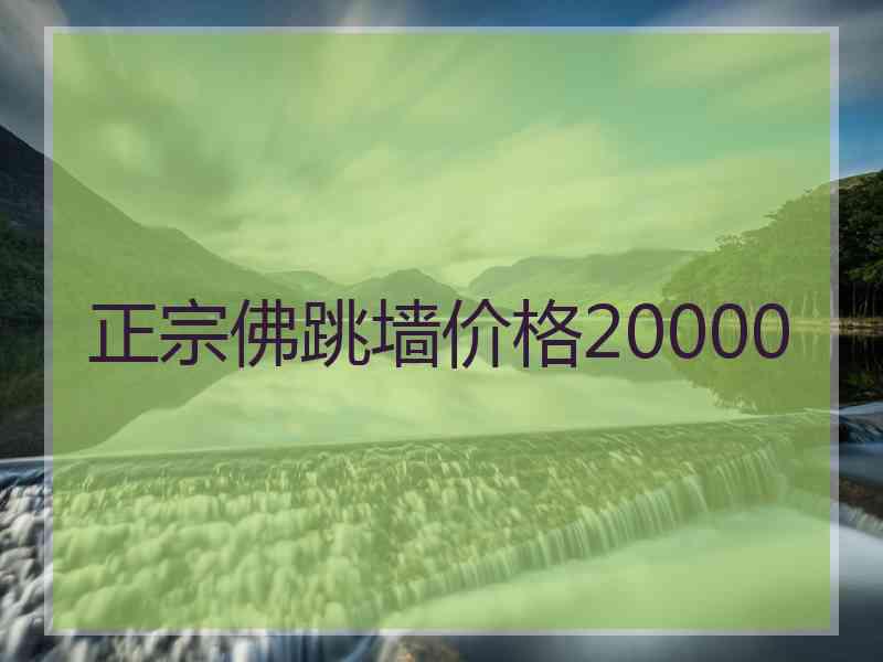 正宗佛跳墙价格20000