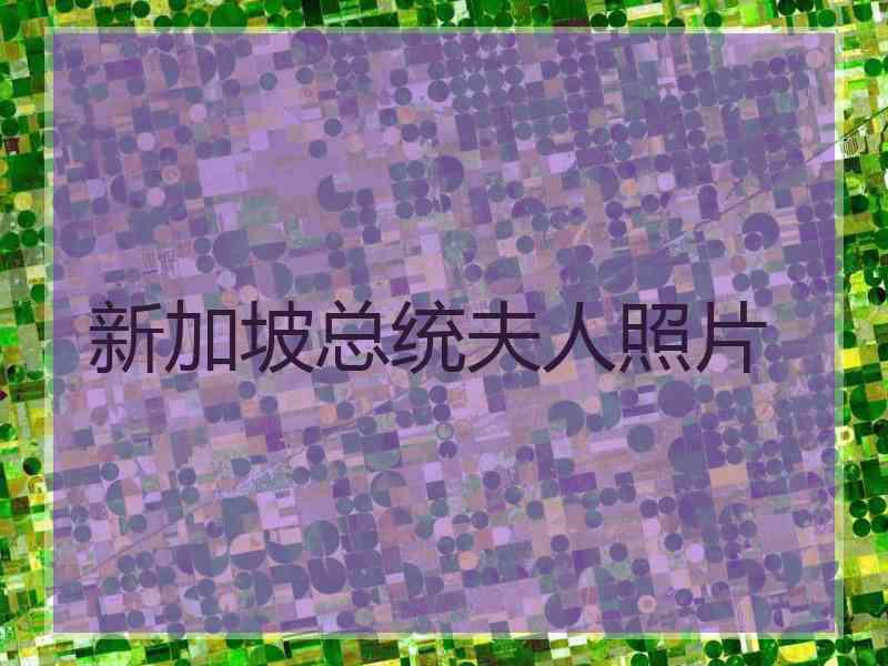 新加坡总统夫人照片