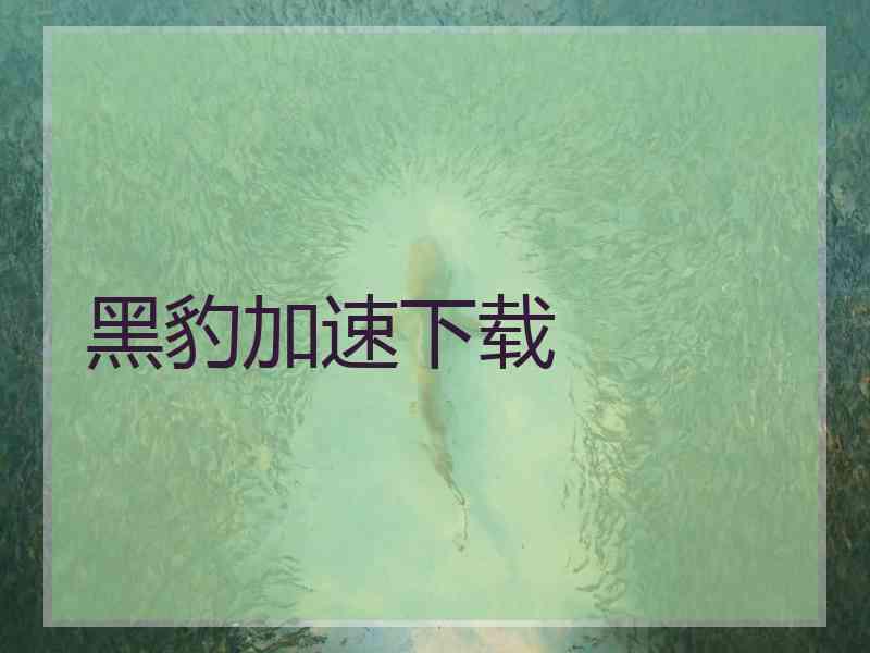 黑豹加速下载