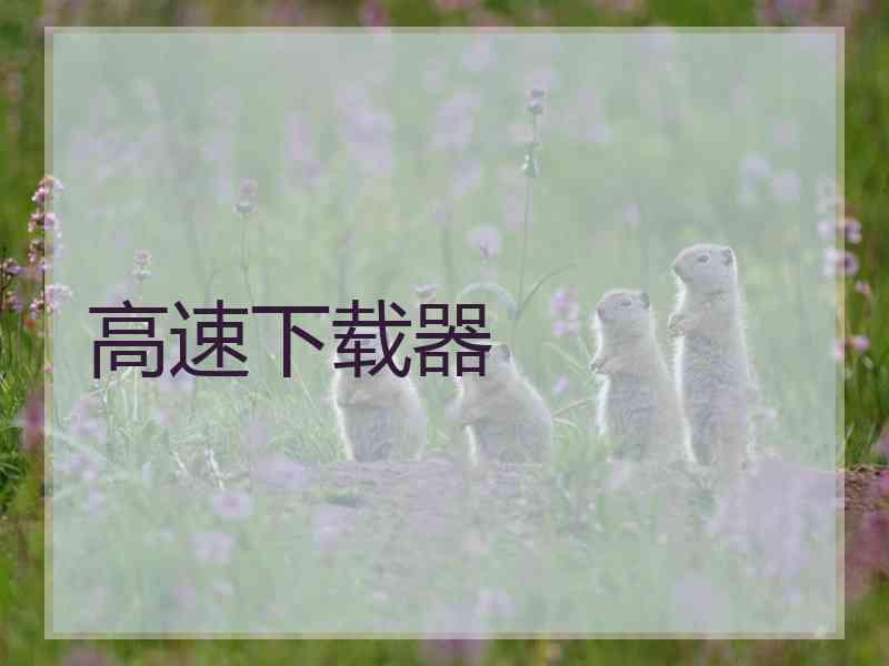 高速下载器