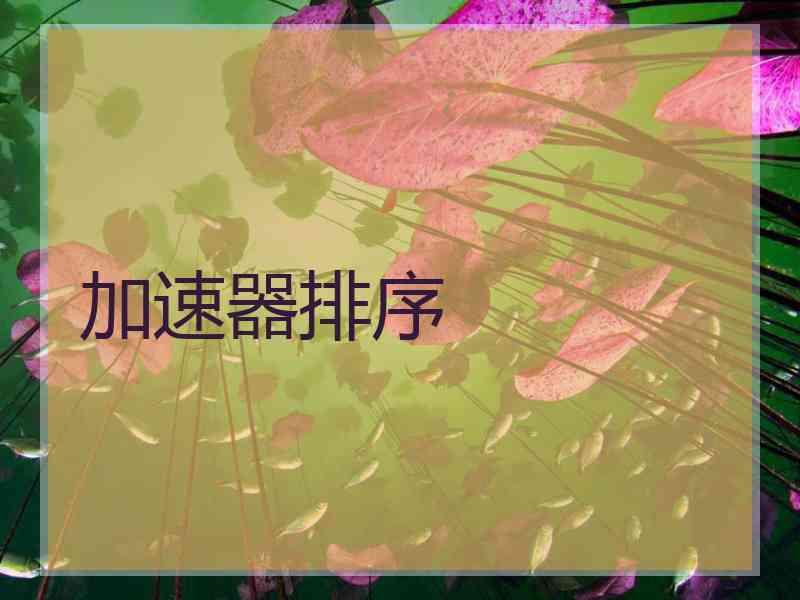 加速器排序