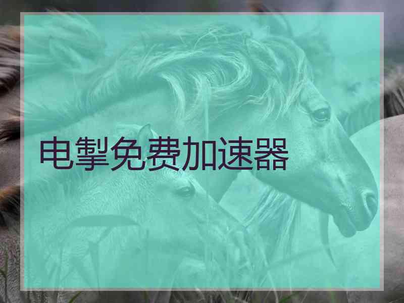 电掣免费加速器