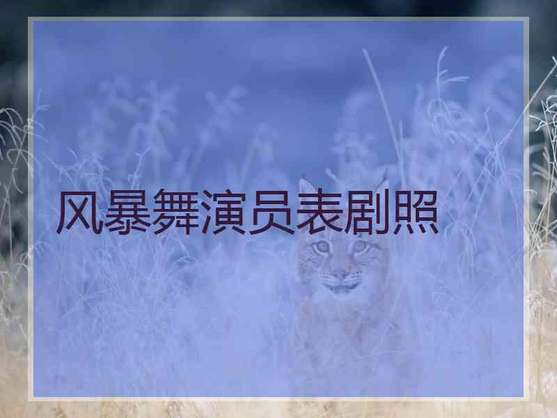 风暴舞演员表剧照