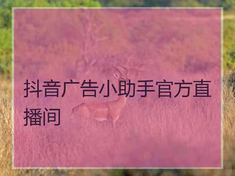 抖音广告小助手官方直播间