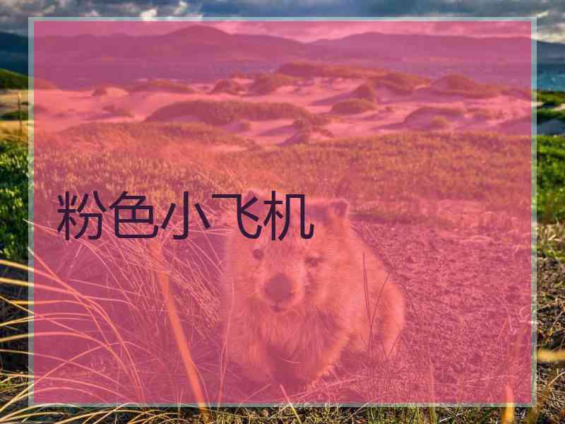 粉色小飞机