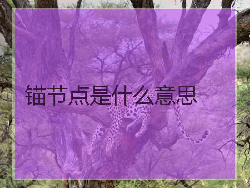 锚节点是什么意思