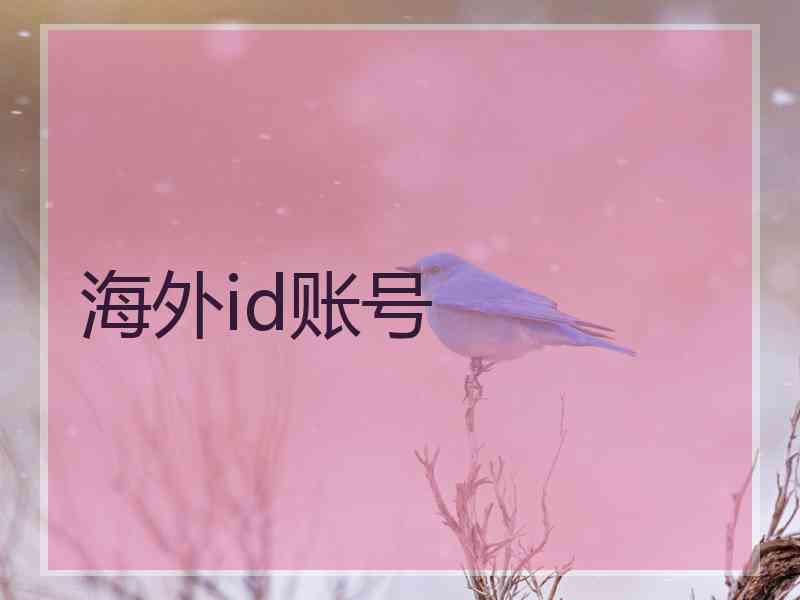 海外id账号