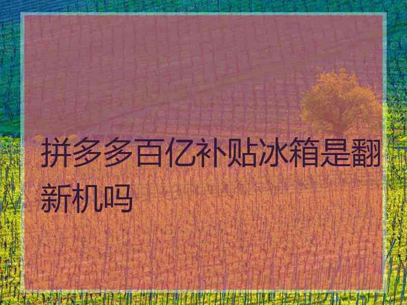 拼多多百亿补贴冰箱是翻新机吗