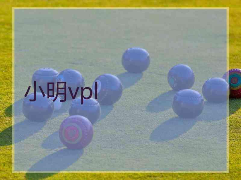 小明vpl