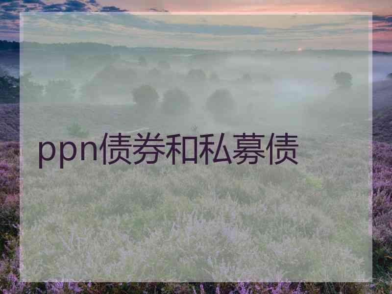 ppn债券和私募债