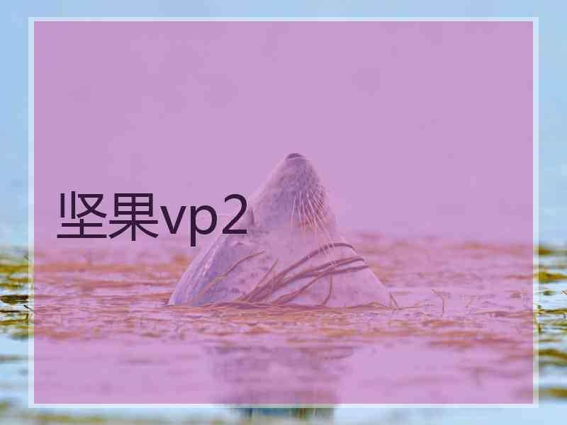 坚果vp2