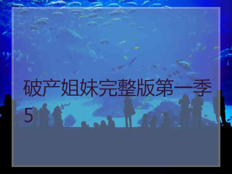破产姐妹完整版第一季5