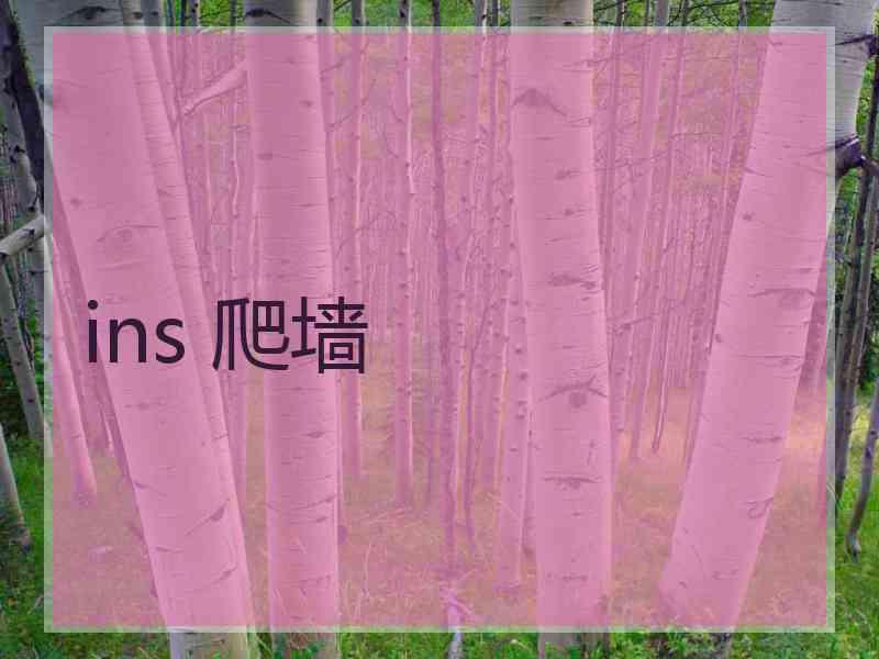 ins 爬墙