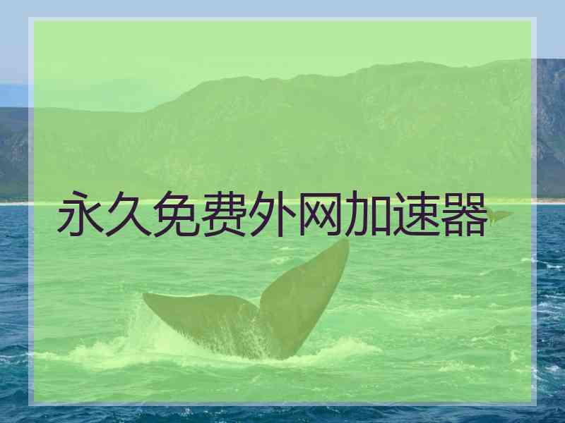 永久免费外网加速器