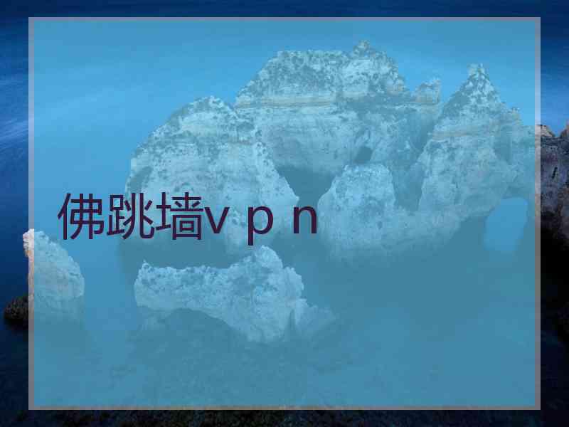 佛跳墙v p n